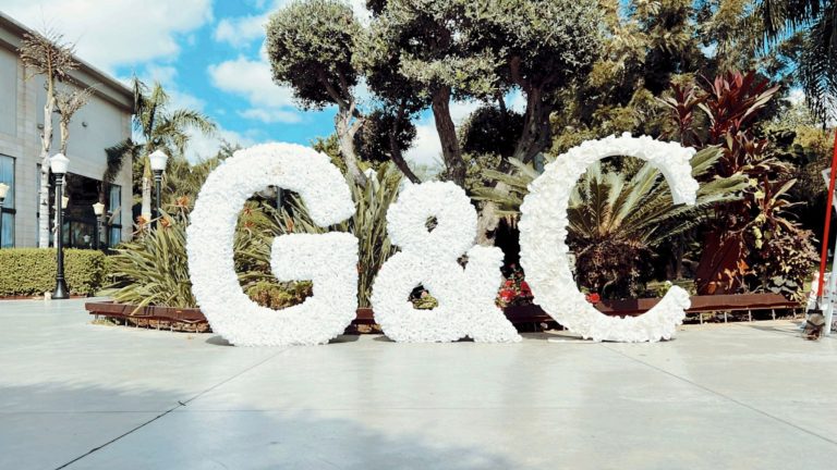 WhatsApp Image 2026-03-11 at 12.05